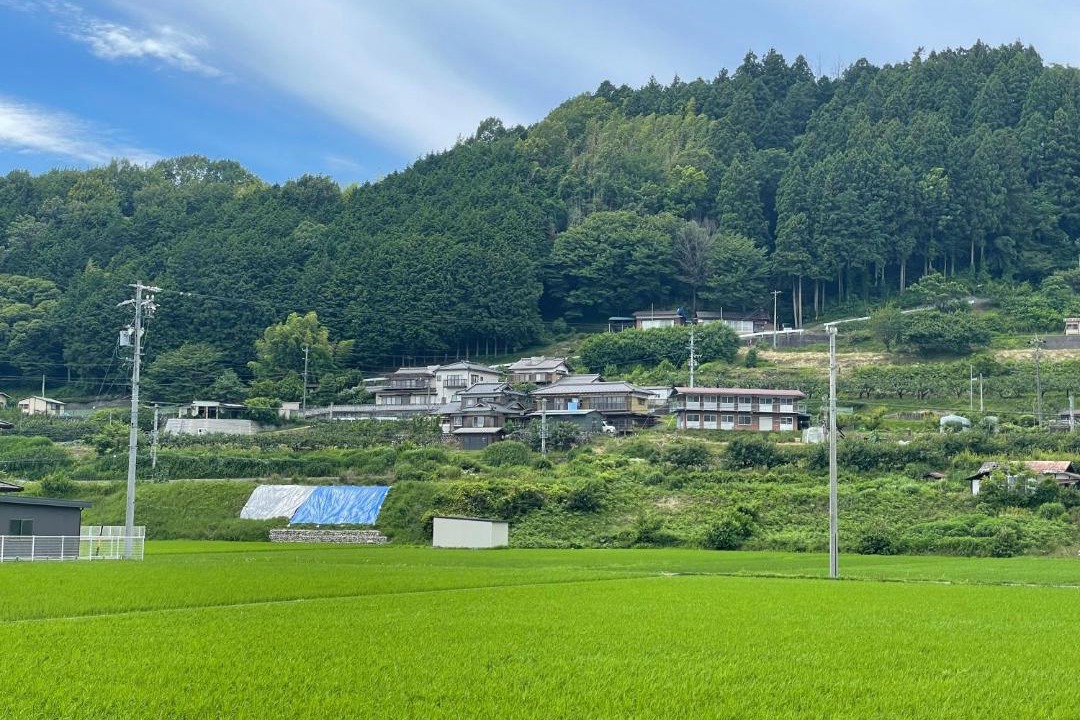 Photo of Others in Matsukawa-machi