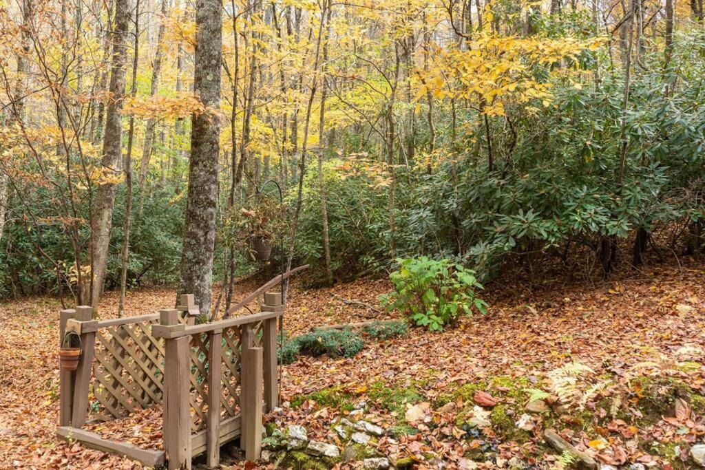 Photo of Others in Blowing Rock
