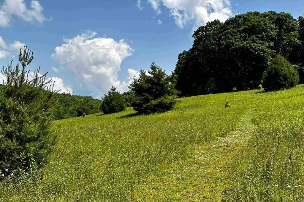 Photo of Others in Blowing Rock
