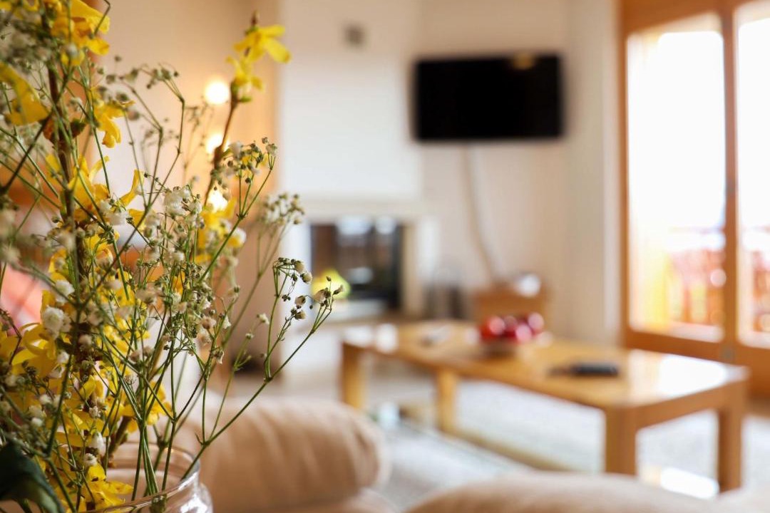 Photo of Livingroom in Saint-Pierre-de-Clages