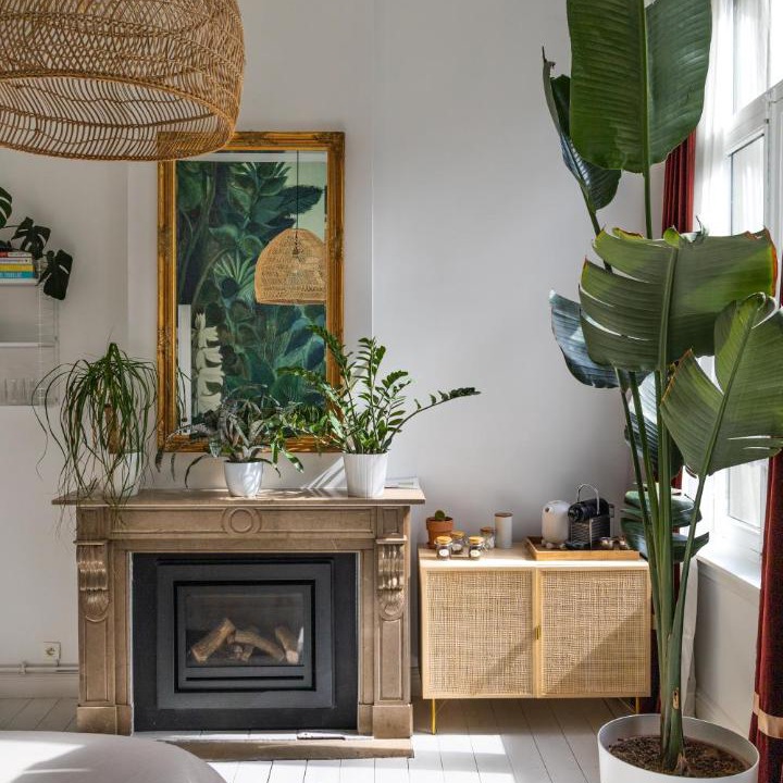 Photo of Livingroom in South Antwerp