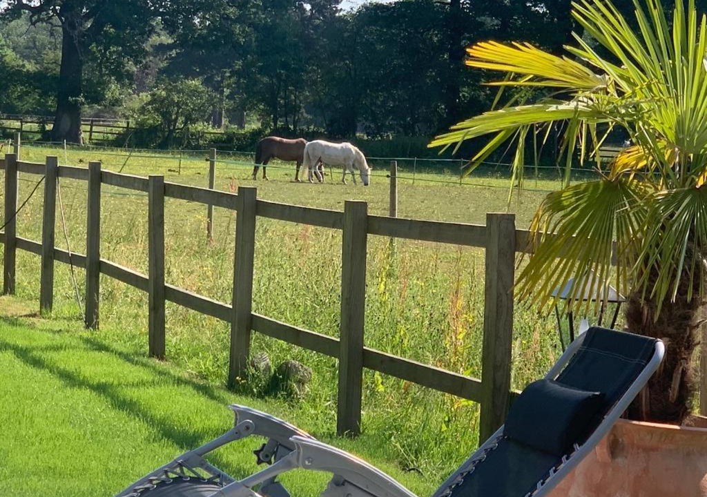 Photo of Others in Winkfield