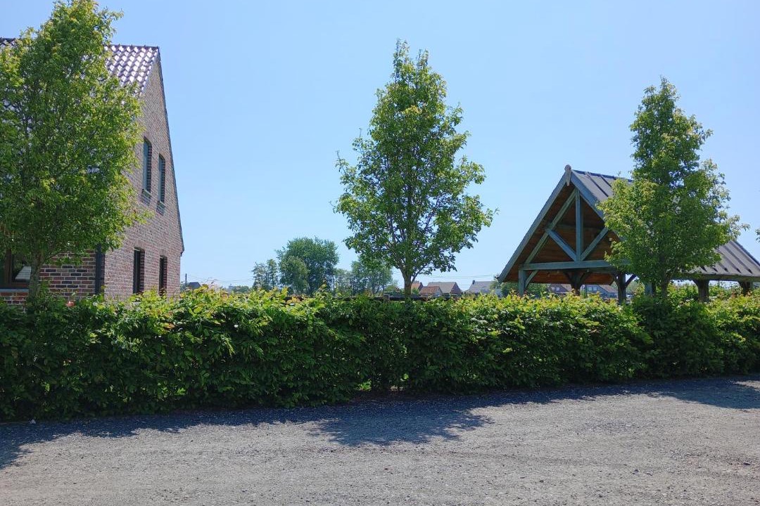 Photo of Others in Zedelgem