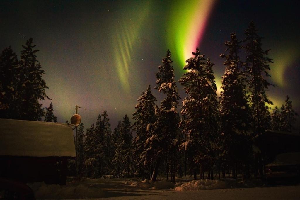 Photo of Others in Whitehorse