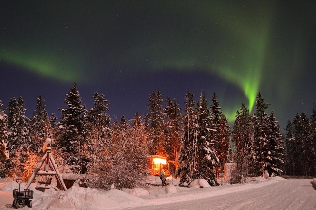 Photo of Others in Whitehorse