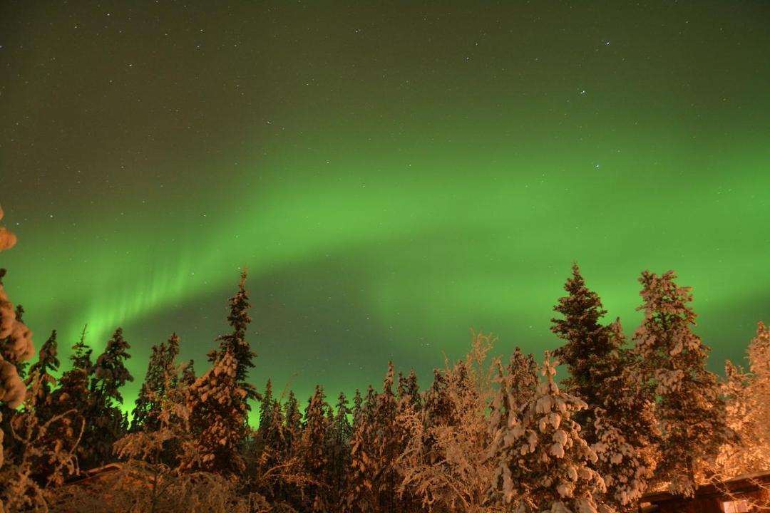 Photo of Others in Whitehorse