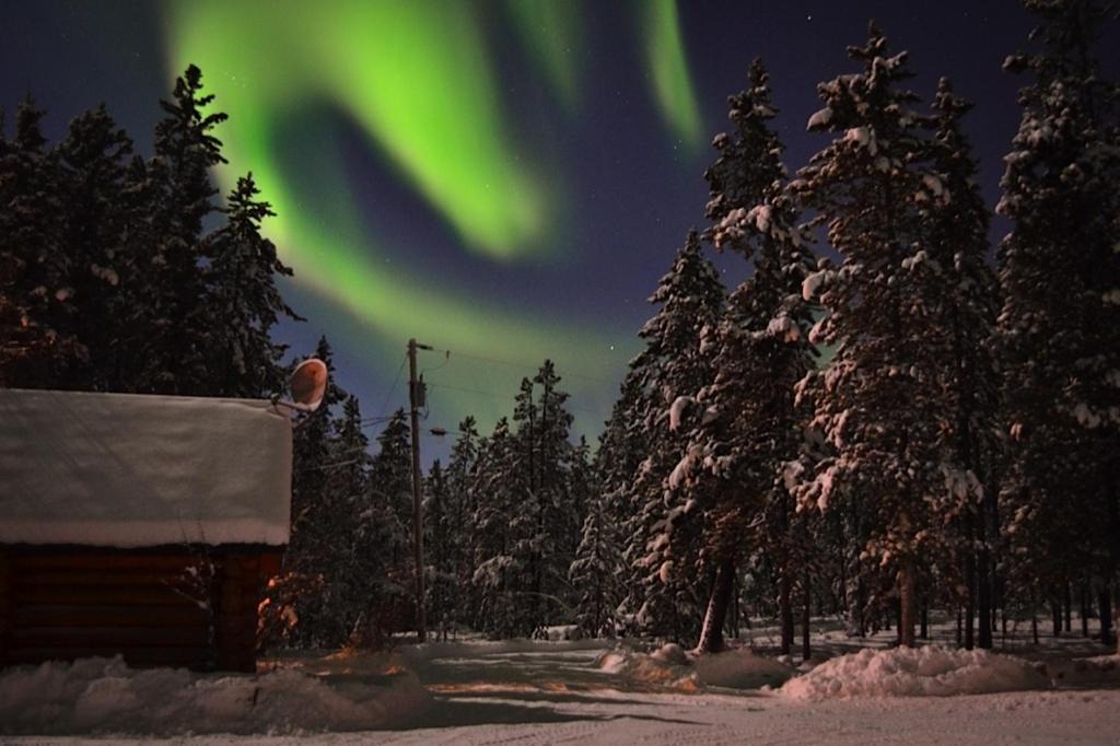 Photo of Others in Whitehorse