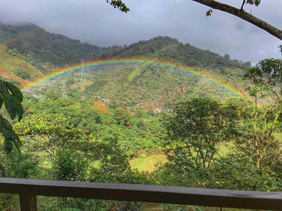Photo of Outdoor in Orosi