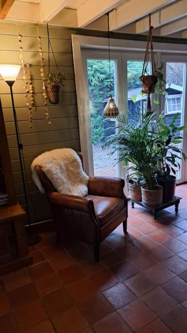 Photo of Livingroom in Essen