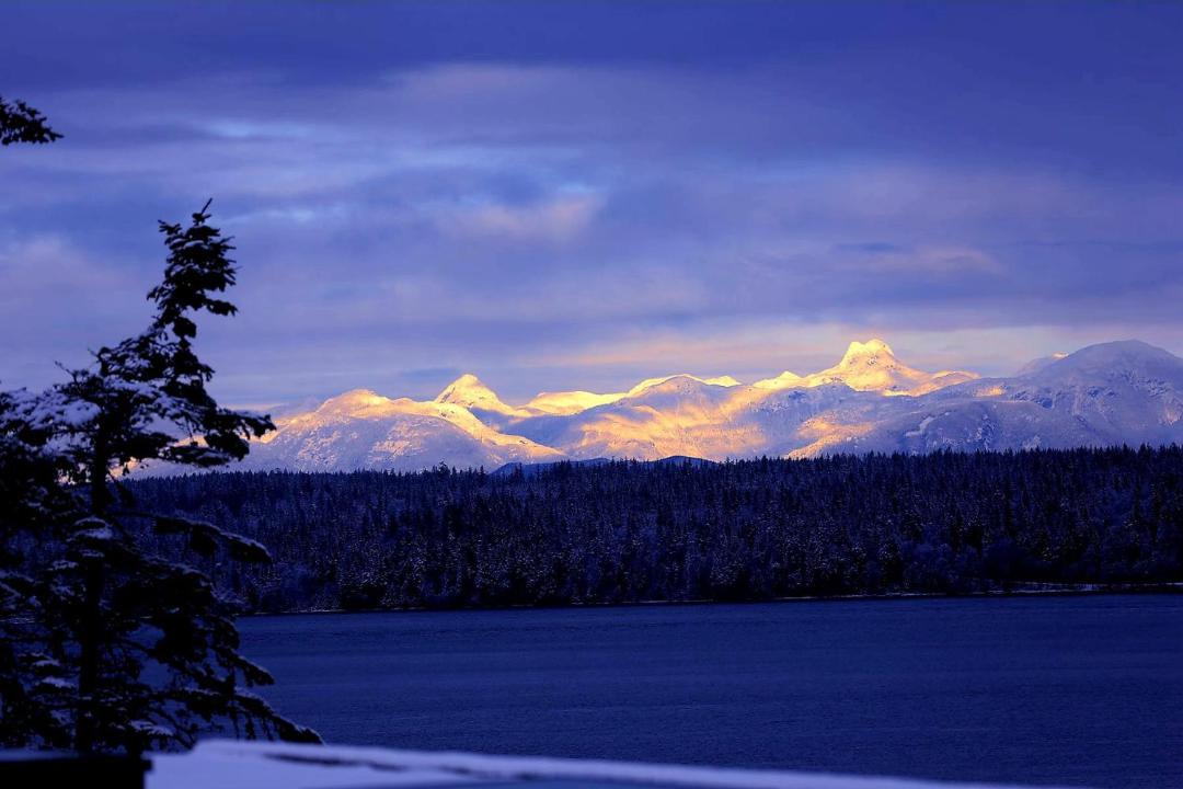 Photo of Others in Campbell River