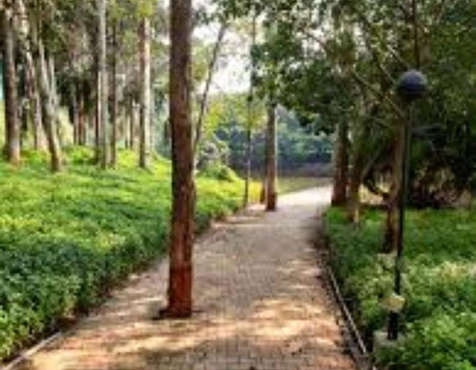 Photo of Others in Pune