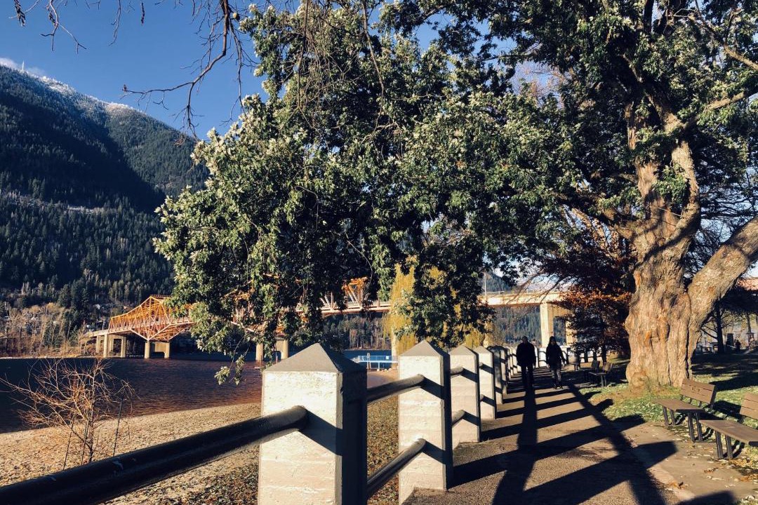 Photo of Others in Nelson