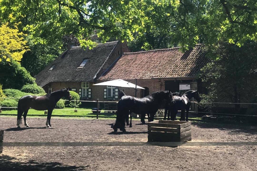 Photo of Others in Zoersel