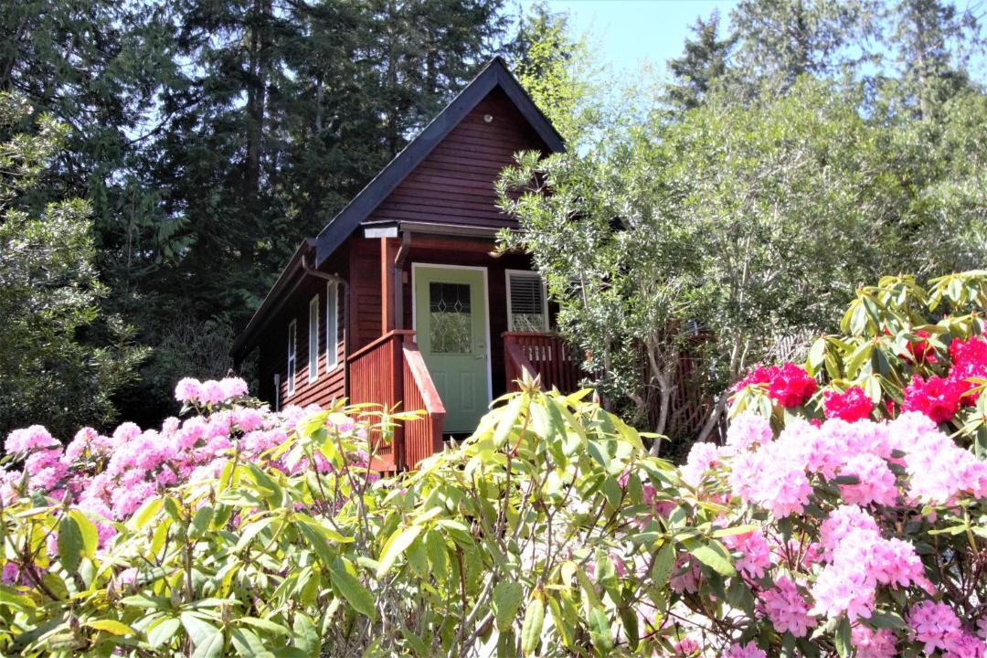 Photo of Others in Ucluelet