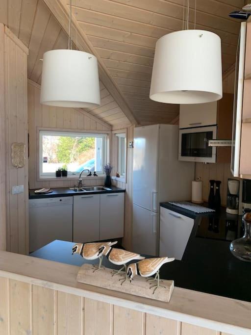 Photo of Kitchen in Mosfellsbaer