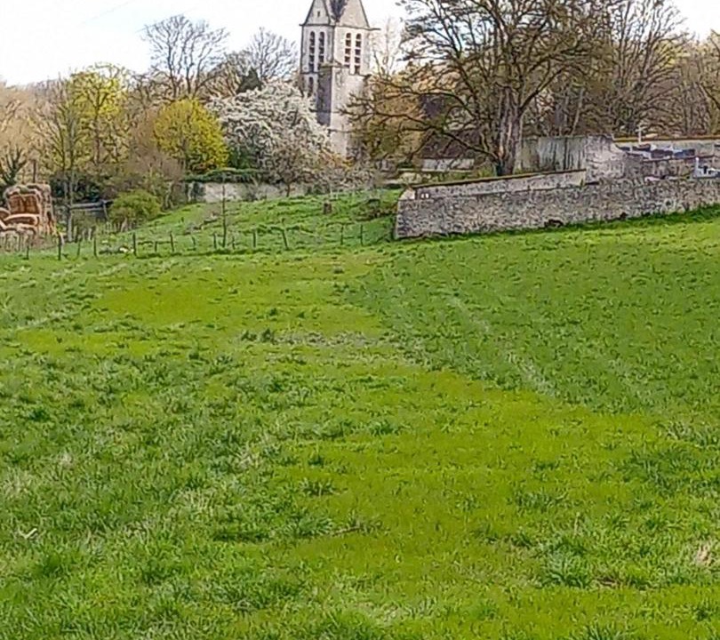 Photo of Others in Lorrez-le-Bocage