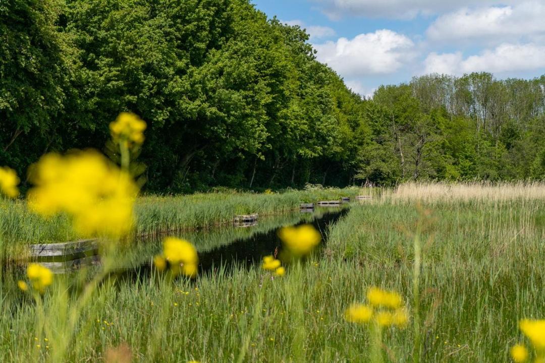 Photo of Others in Municipality of Amstelveen
