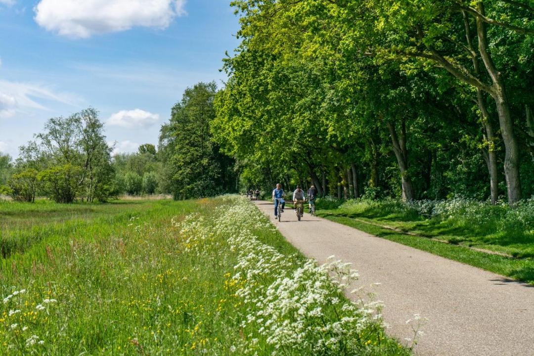 Photo of Others in Municipality of Amstelveen