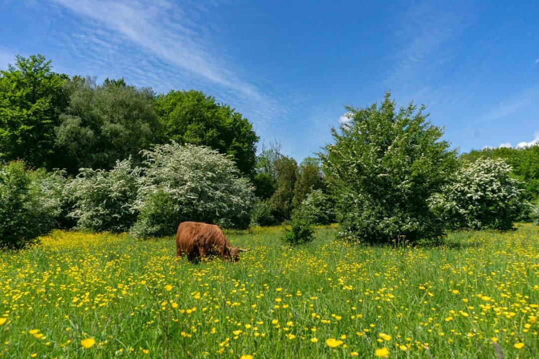 Photo of Others in Municipality of Amstelveen