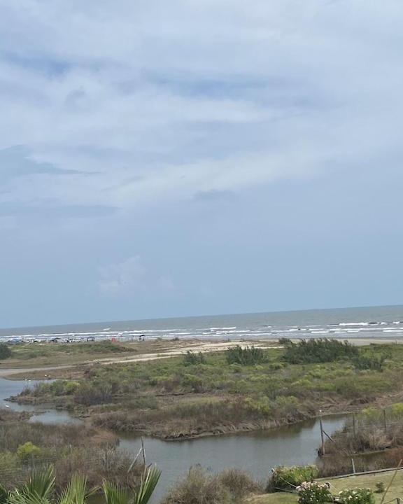 Photo of Others in Galveston