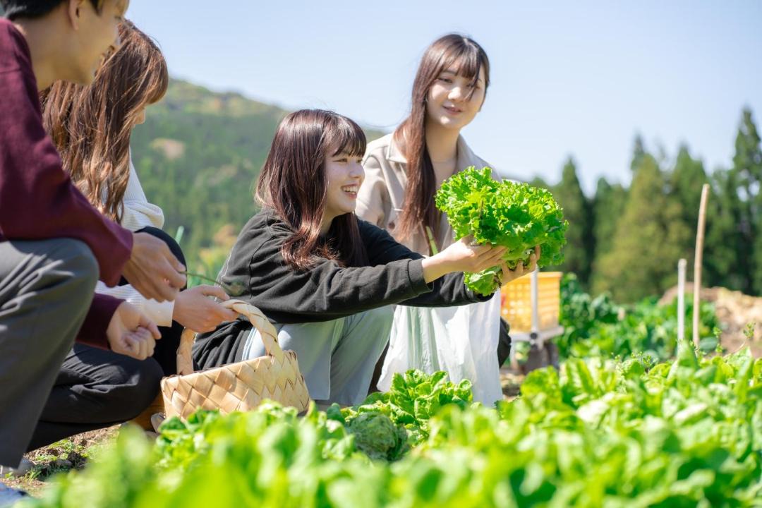 Photo of Others in Ureshino