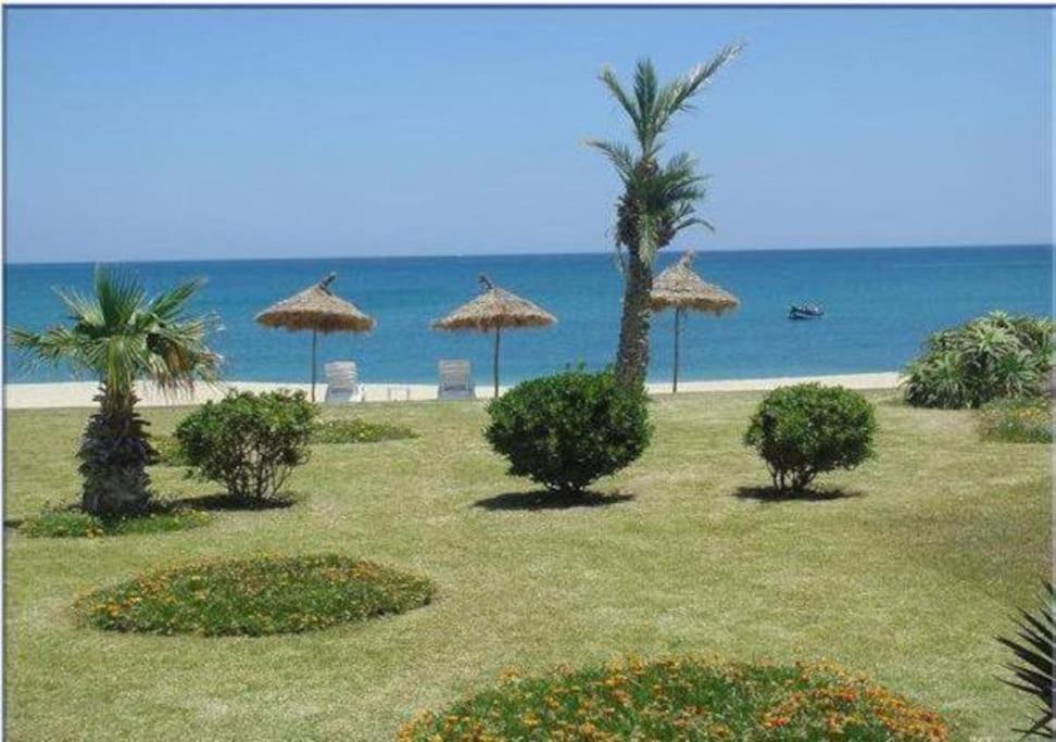 Photo of Others in Residence Bab Sebta