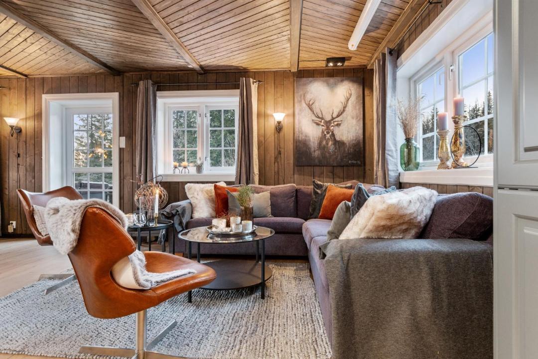 Photo of Livingroom in Svingvoll