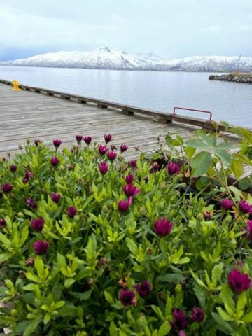 Photo of Outdoor in Lødingen