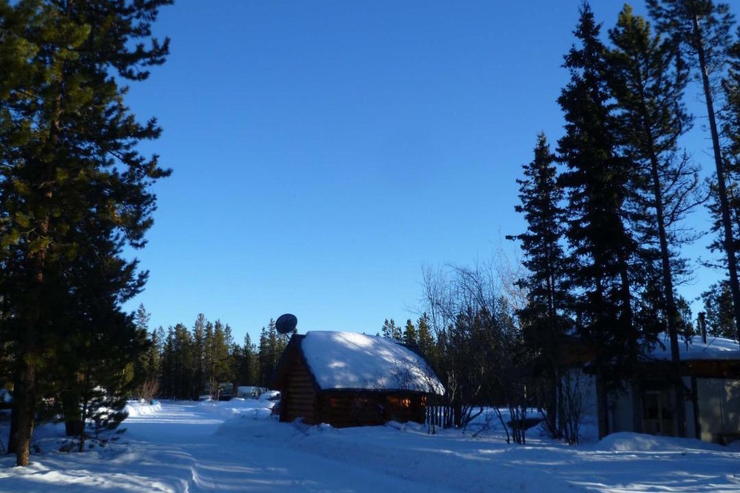 Photo of Others in Whitehorse