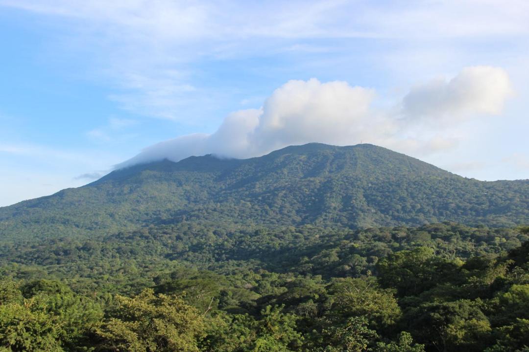 Photo of Others in Mombacho Volcano Nature Reserve
