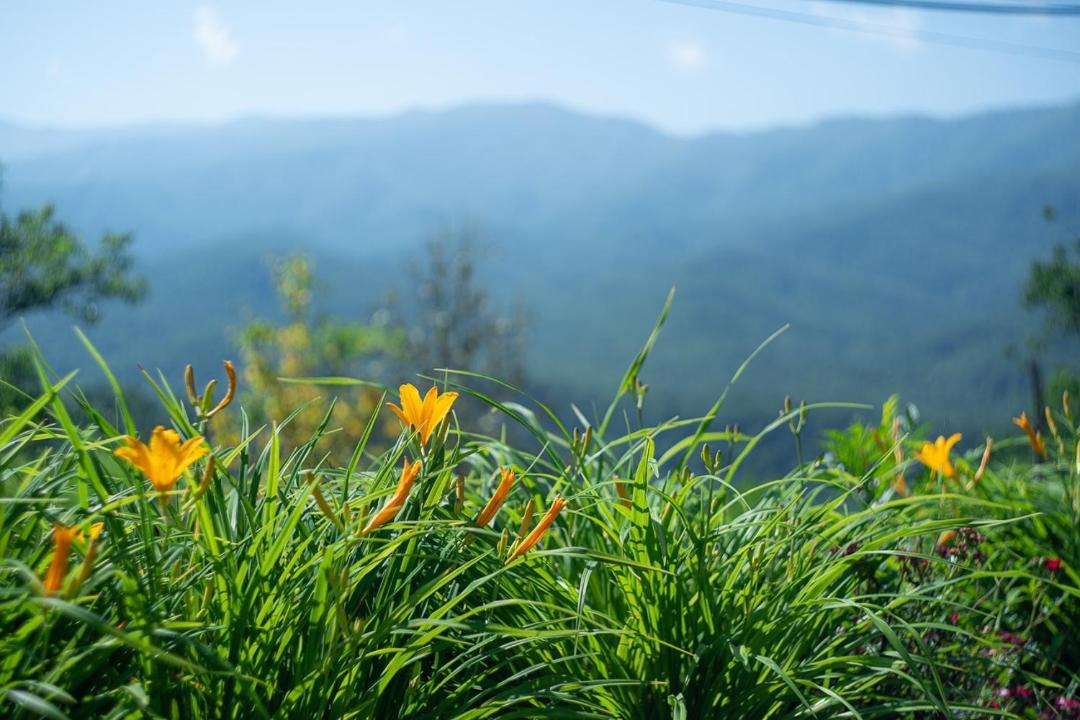 Photo of Others in Gatlinburg - Pigeon Forge