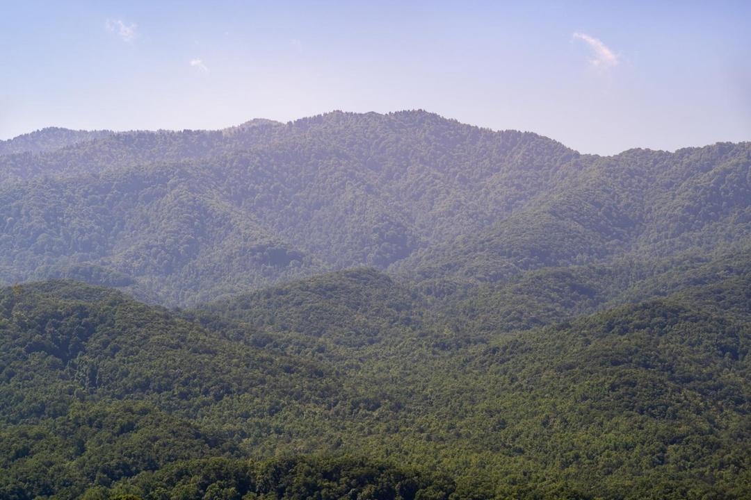 Photo of Others in Gatlinburg - Pigeon Forge