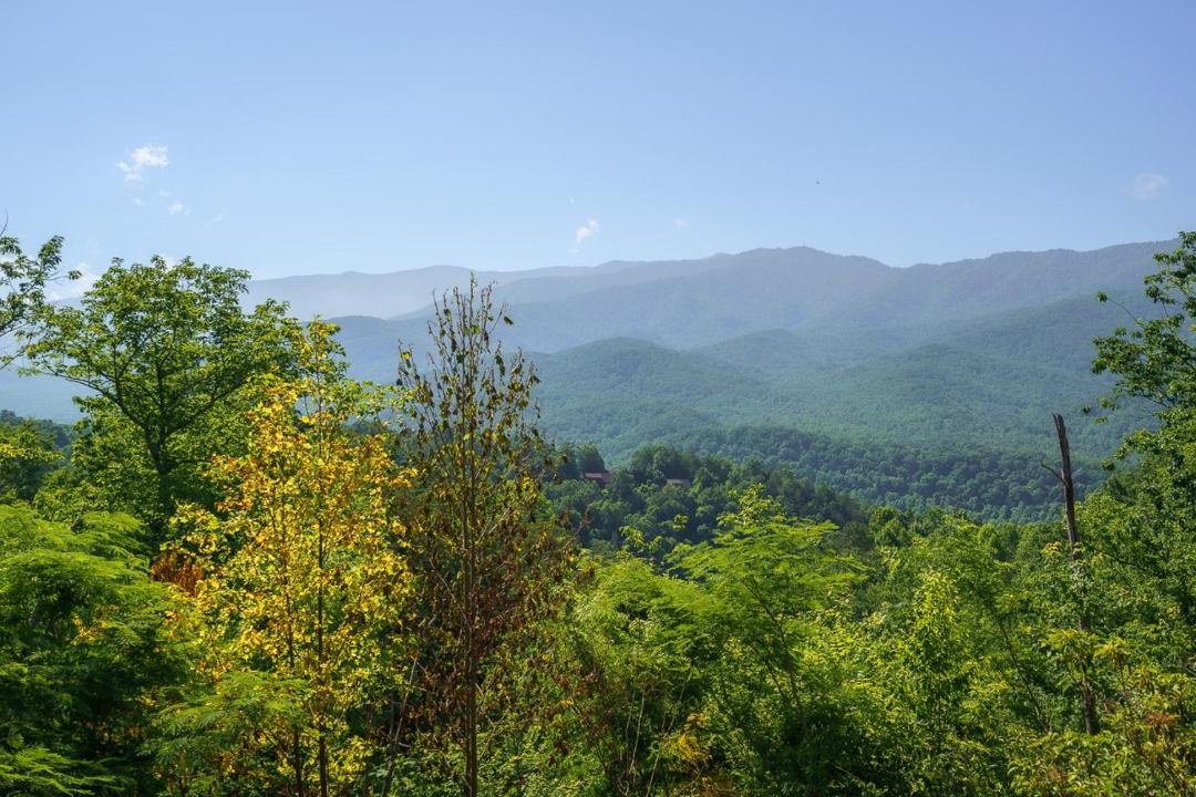 Photo of Others in Gatlinburg - Pigeon Forge