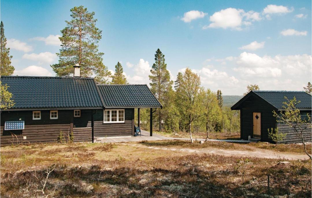Photo of Others in Rendalen