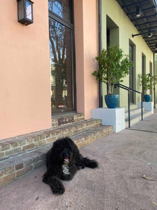 Photo of Others in Lower Garden District