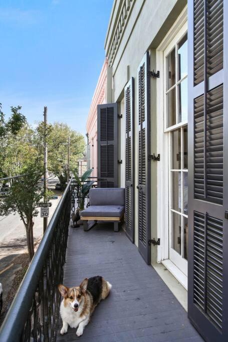 Photo of Others in Lower Garden District