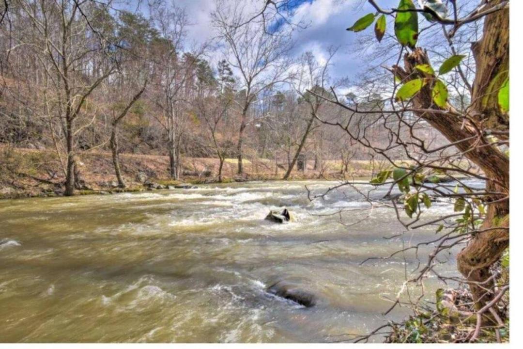 Photo of Others in East Ellijay