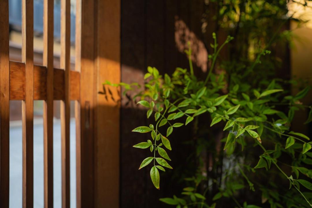 Photo of Others in Gion