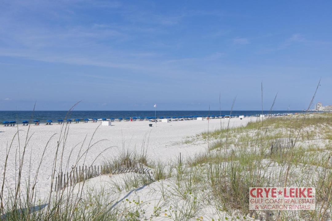 Photo of Others in Orange Beach