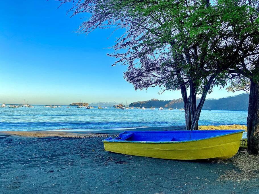 Photo of Outdoor in Coco