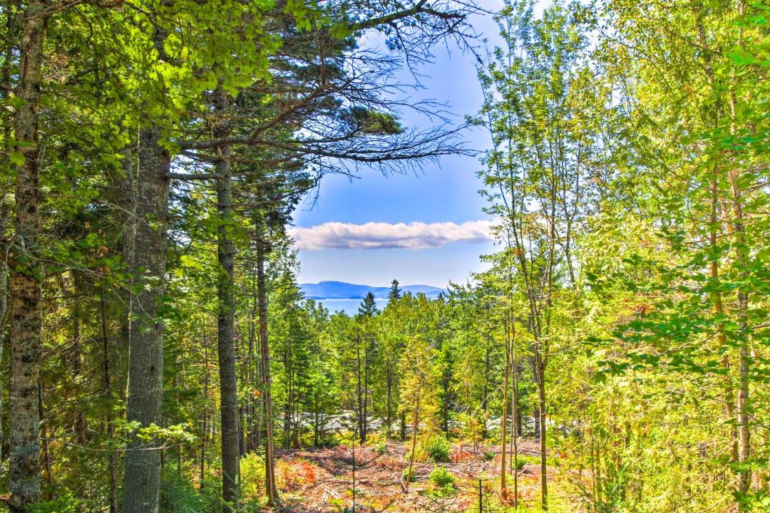 Photo of Outdoor in Gouldsboro