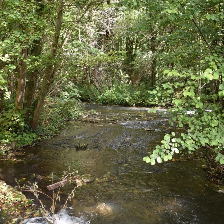 Photo of Outdoor in Augerville-la-Riviere