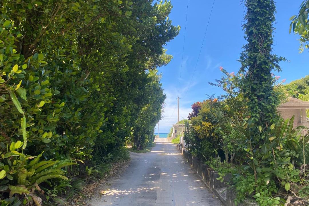 Photo of Outdoor in Imadomari