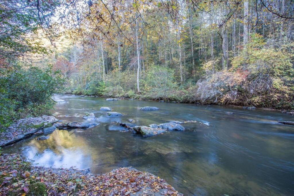 Photo of Outdoor in Ellijay