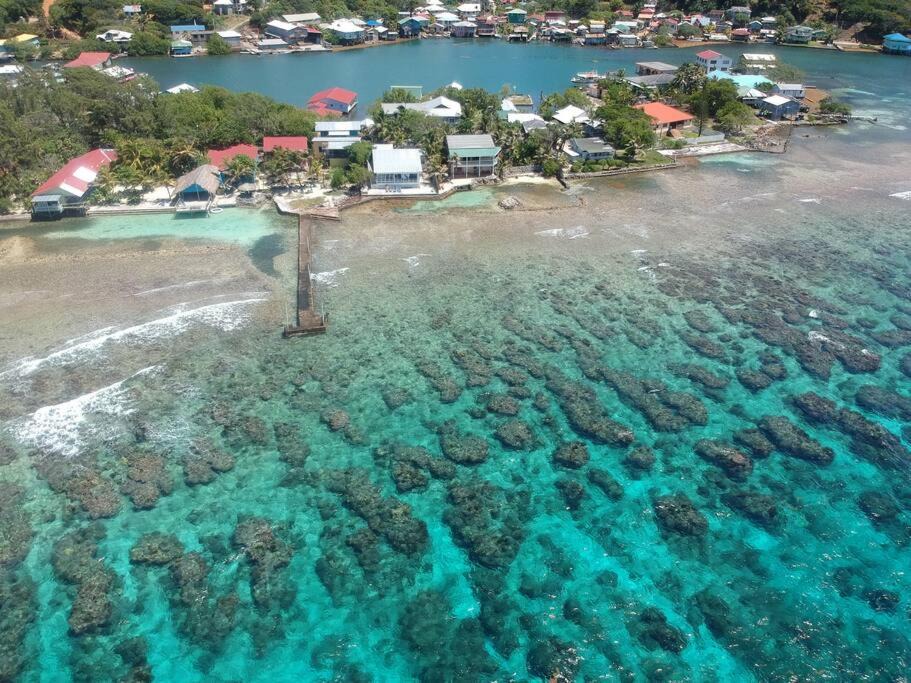 Photo of Outdoor in Calabash Bight