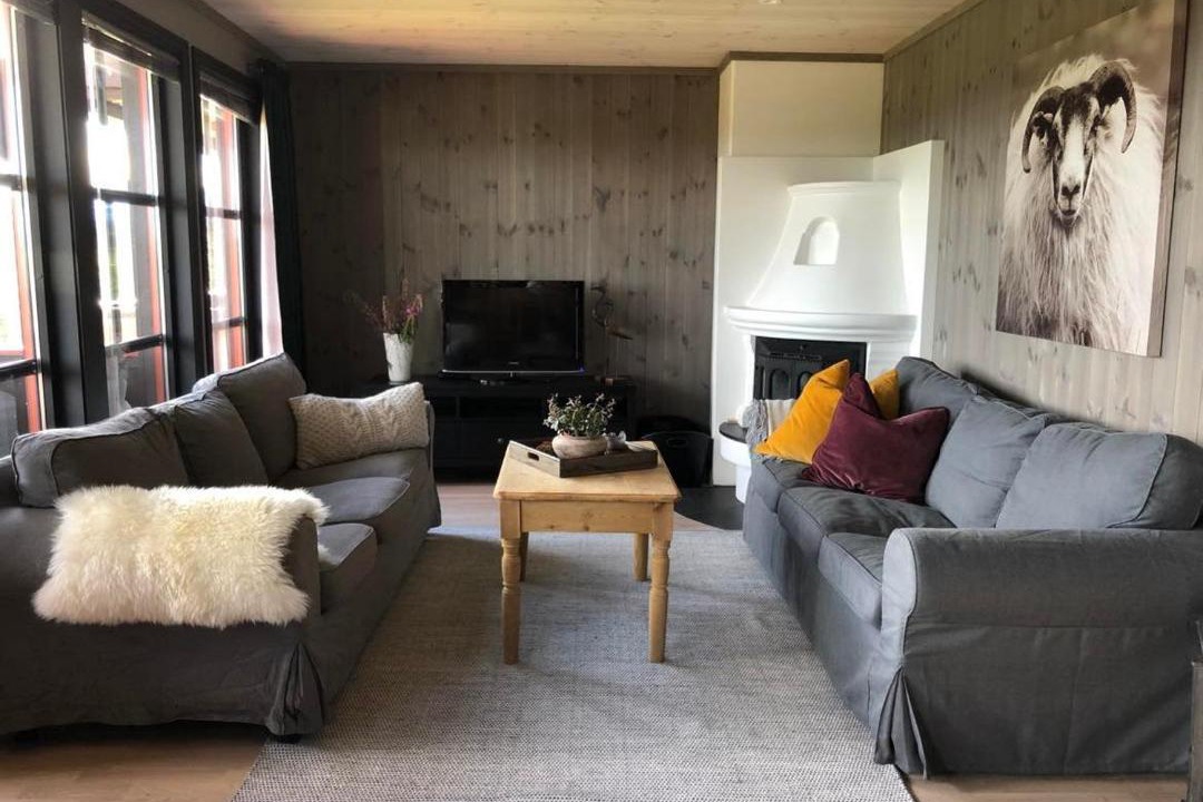 Photo of Livingroom in Beitostolen