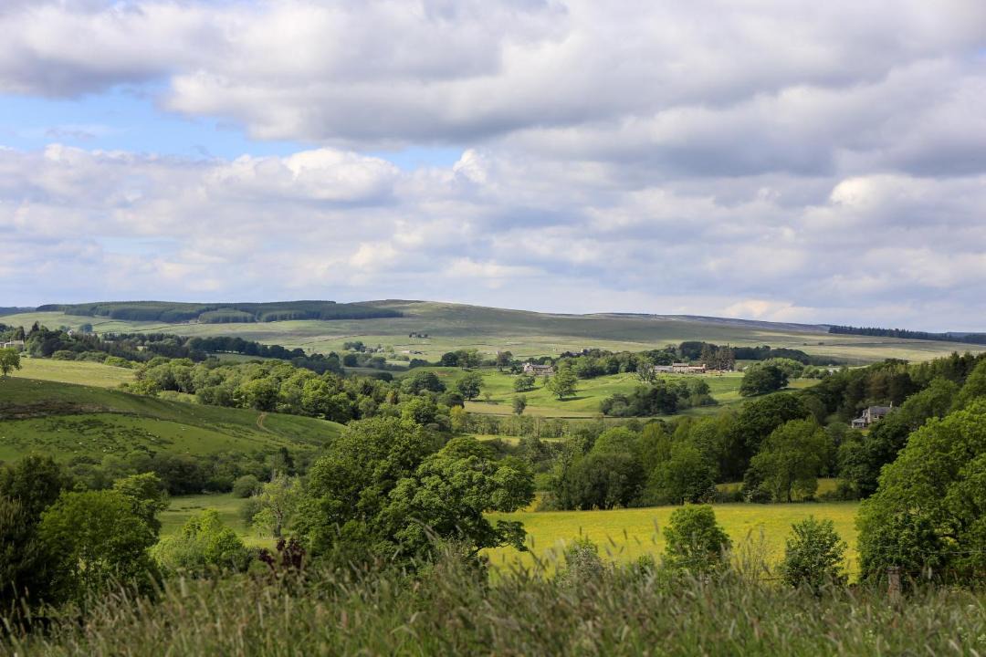 Photo of Outdoor in Tarset