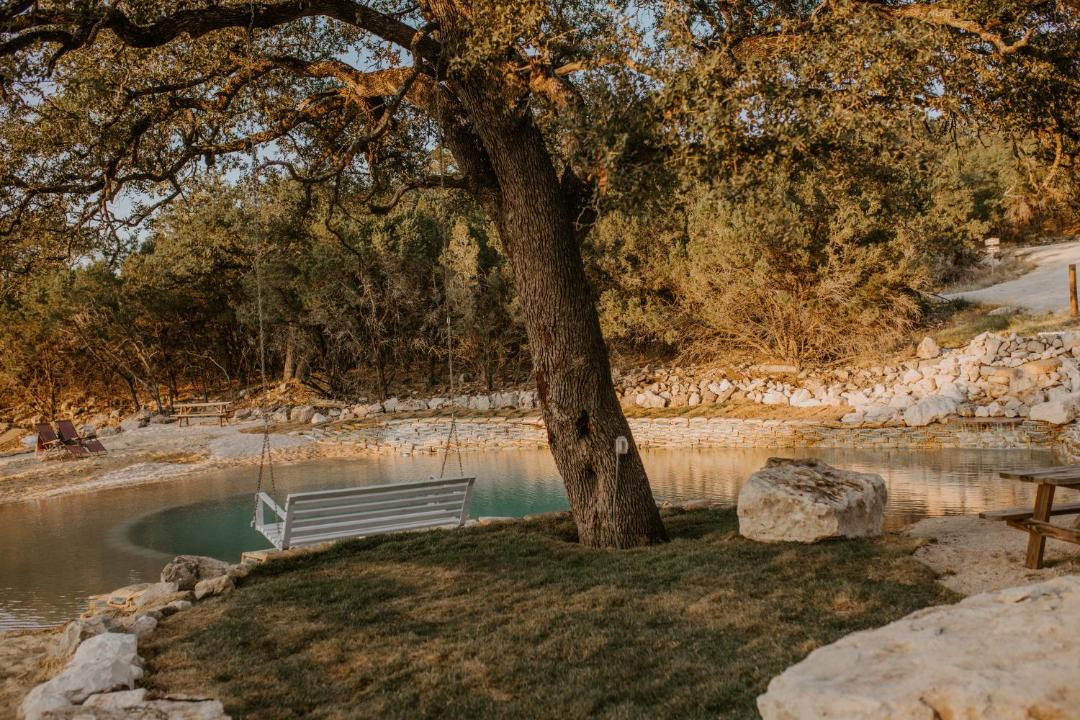 Photo of Others in Spring Branch