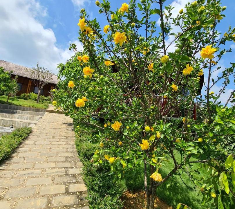 Photo of Outdoor in Quoc Oai