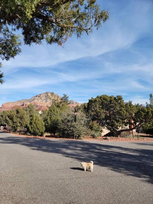 Photo of Others in West Sedona